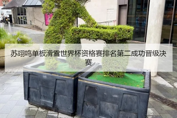 su-yi-ming-dan-ban-hua-xue-shi-jie-bei-zi-ge-sai-pai-ming-di-er-cheng-gong-jin-ji-jue-sai-3-819.jpg