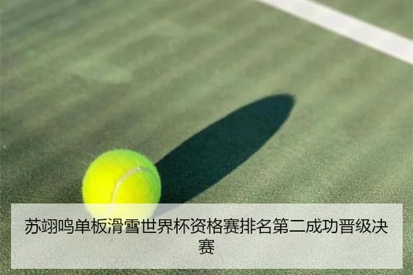 苏翊鸣单板滑雪世界杯资格赛排名第二成功晋级决赛