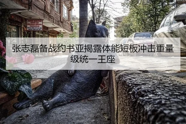 张志磊备战约书亚揭露体能短板冲击重量级统一王座