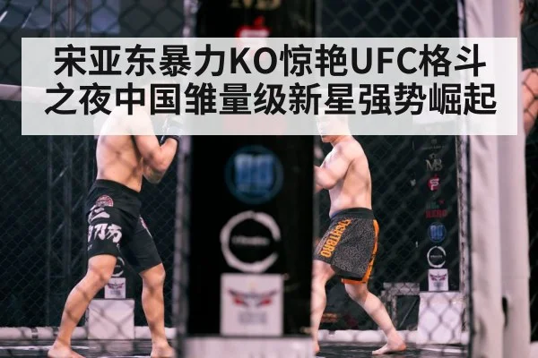 宋亚东暴力KO惊艳UFC格斗之夜中国雏量级新星强势崛起