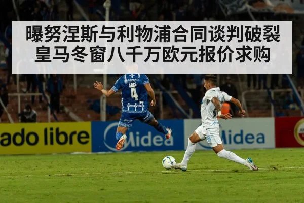 曝努涅斯与利物浦合同谈判破裂皇马冬窗八千万欧元报价求购